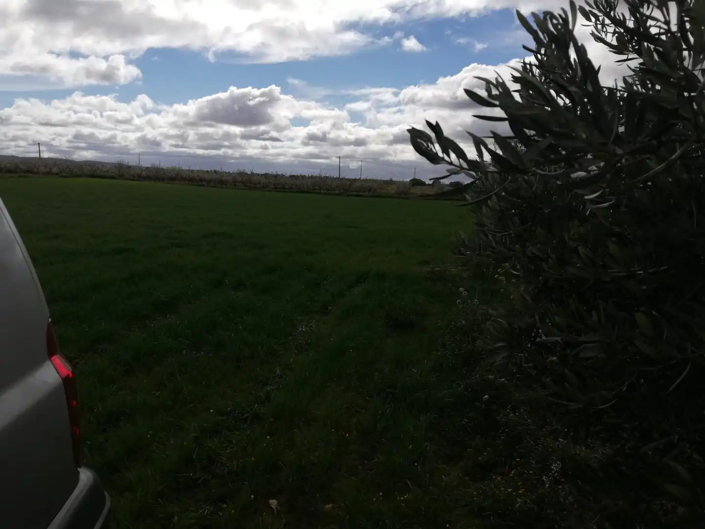 Terrenys i solars en venda a Mora, imagen 12