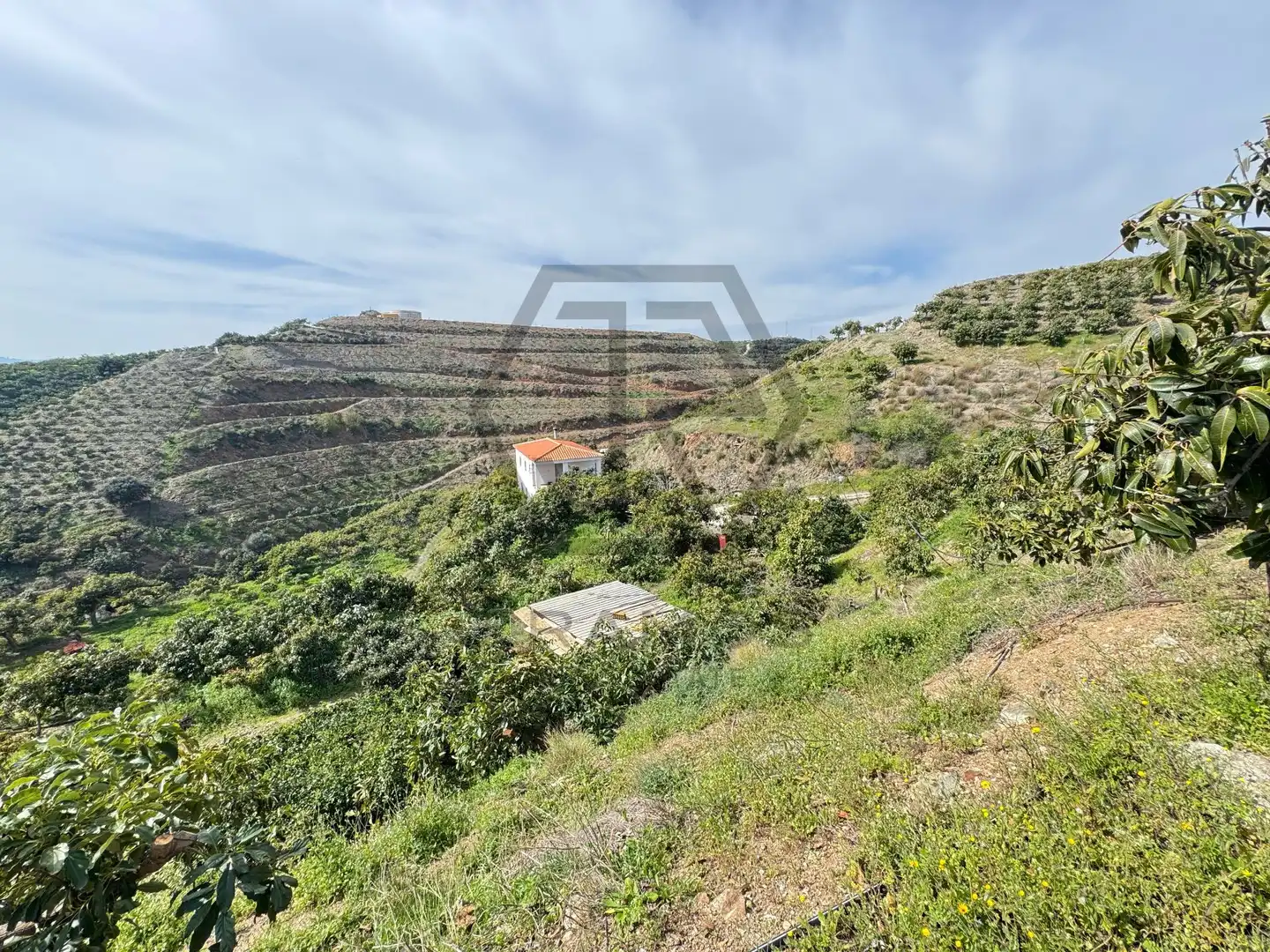 Rustikales Grundstück zum Verkauf in Atalaya Baja, imagen 11