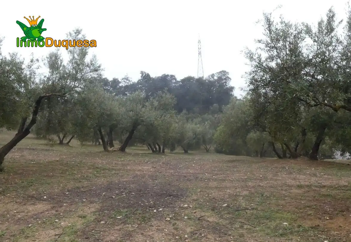 Casa rustica in vendita a Peligros, imagen 28