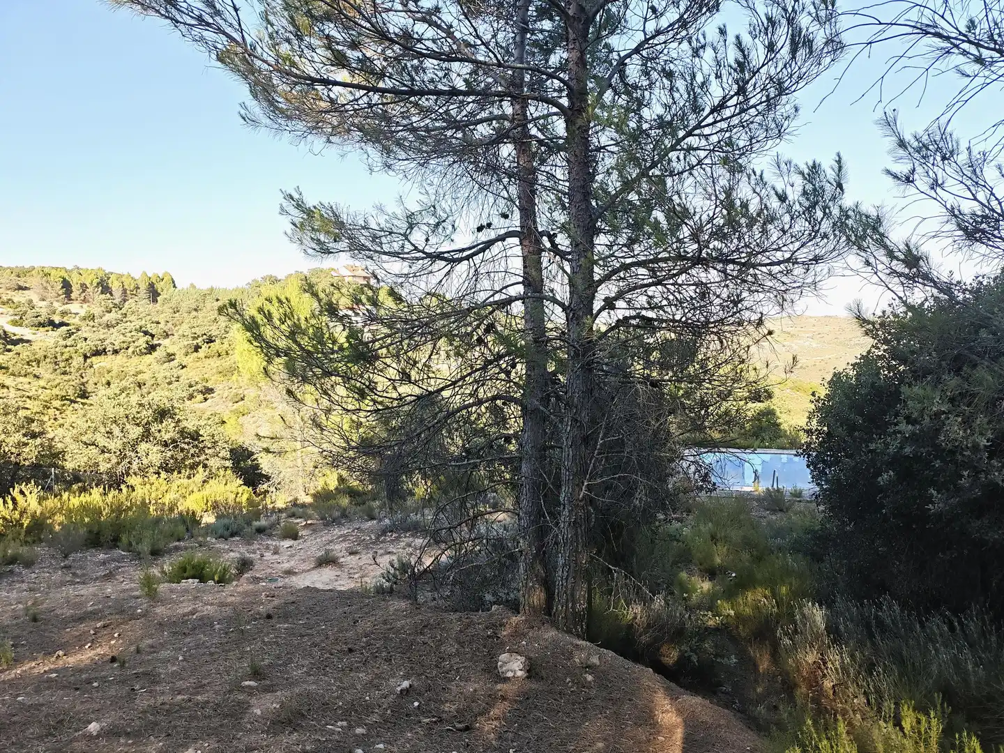 Casa o chalet en venta en Perales de Tajuña con Jardín privado, Piscina y Alarma