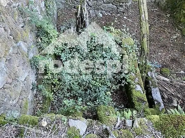 Casa en venta en A Cañiza, imagen 6