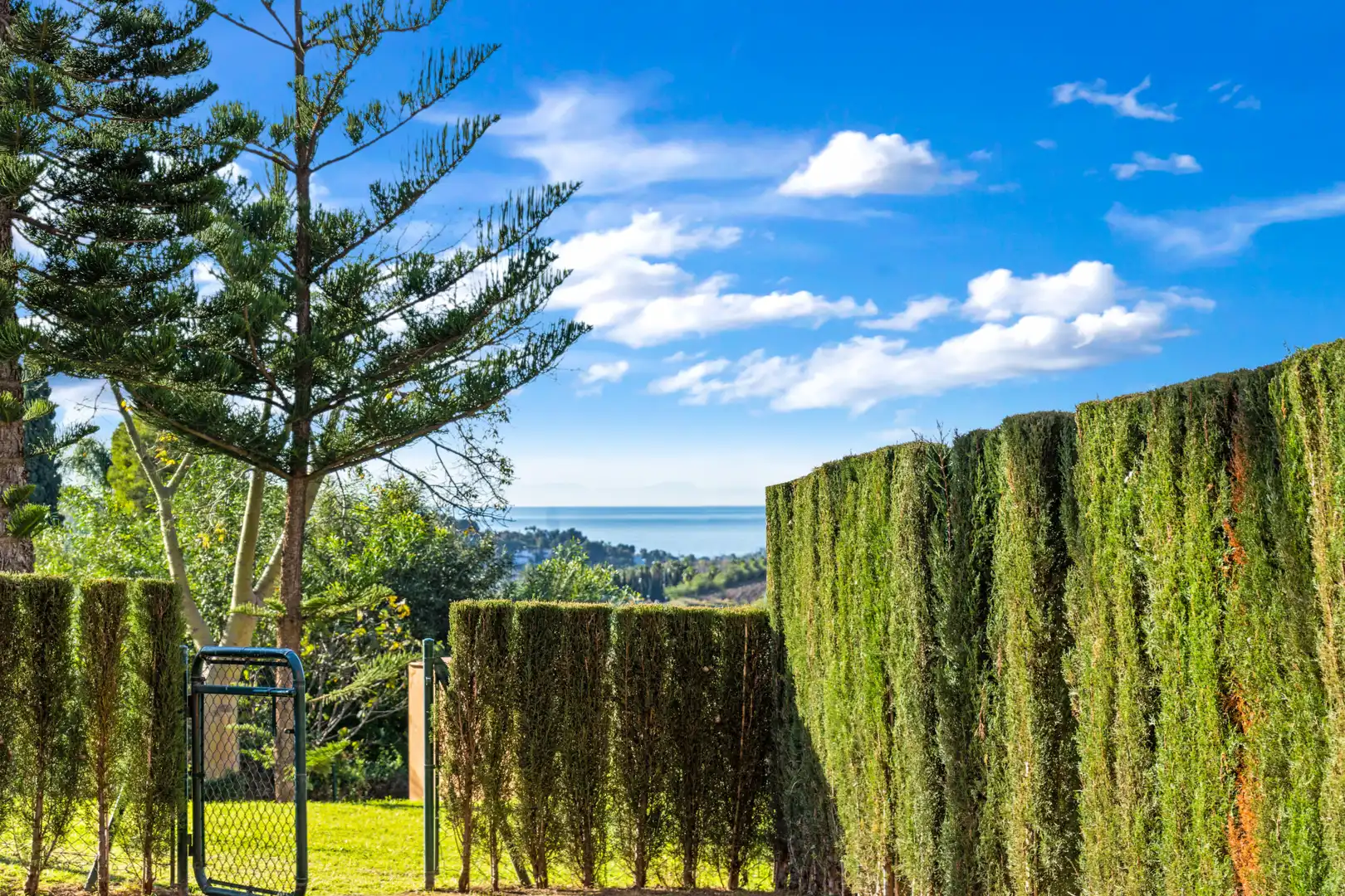 Detached homes for sale in La Alquería