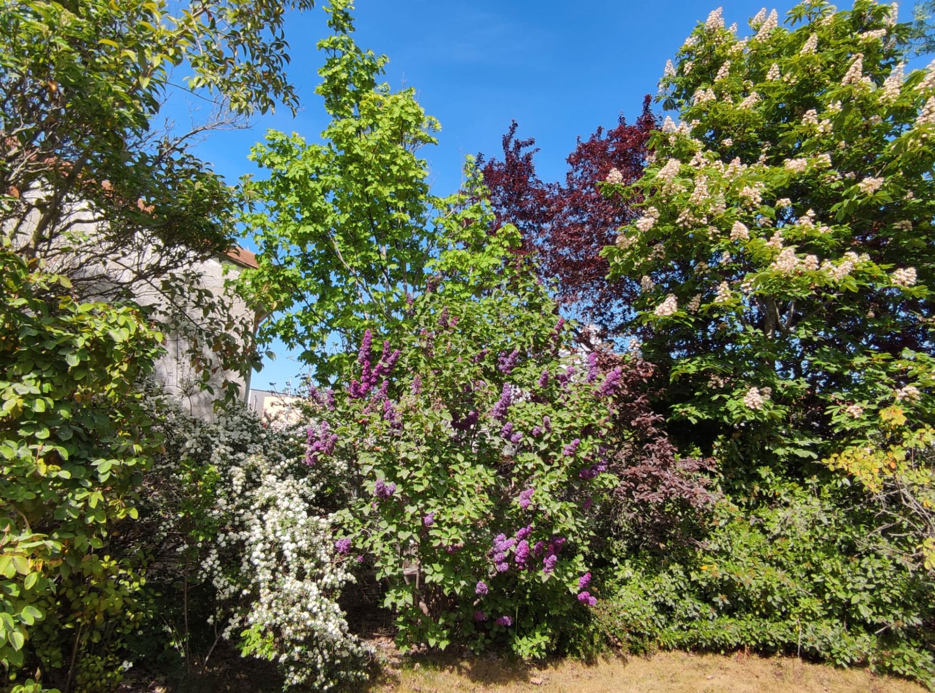 Jardín de Casa o chalet en venta en Boecillo con Alarma