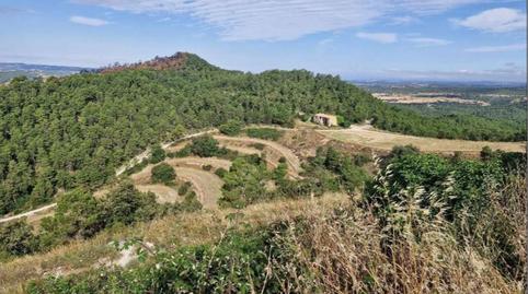 Foto 4 de Finca rústica en venta en Sant Pere Sallavinera, Barcelona