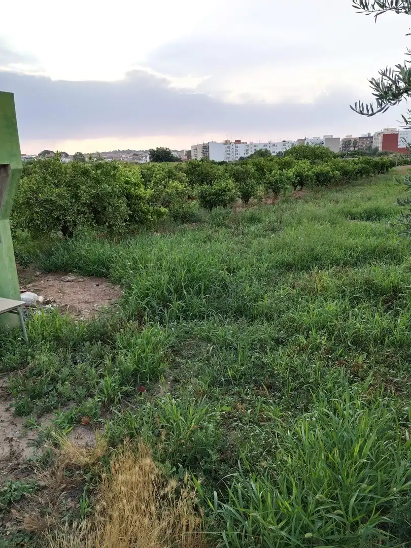 Terreno rústico en venta en Moncada, imagen 9