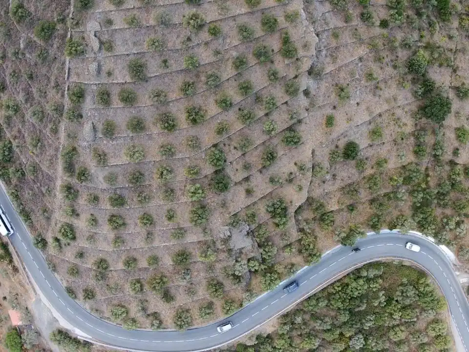 Lands and plots for sale in Territorio Surés, imagen 4