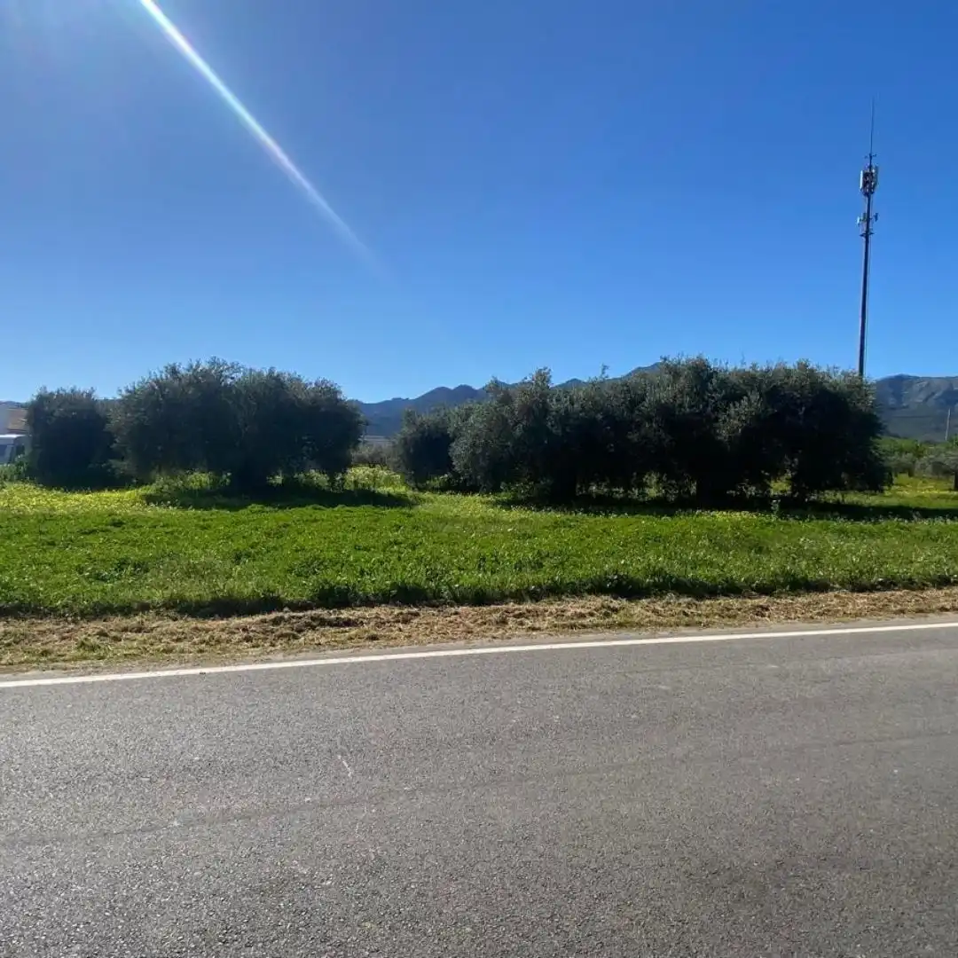 Terreno rustico in vendita a Alquería - Torrealquería, imagen 3