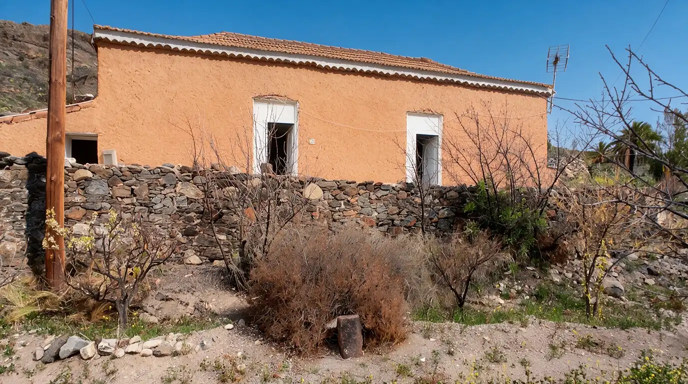 Vista exterior de Finca rústica en venda en San Bartolomé de Tirajana amb Jardí privat