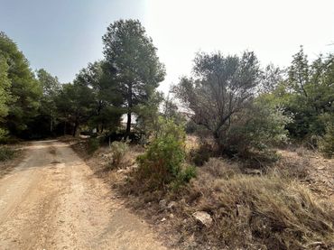 Terreno rustico in vendita a L'Alcora