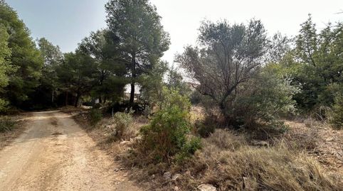 Terreno en venta en LAlcora
