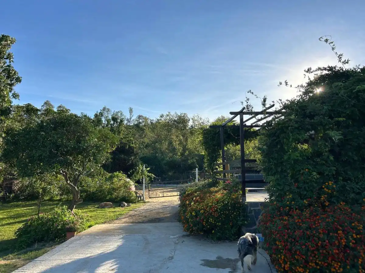 Jardí de Finca rústica en venda en San Martín del Tesorillo amb Terrassa