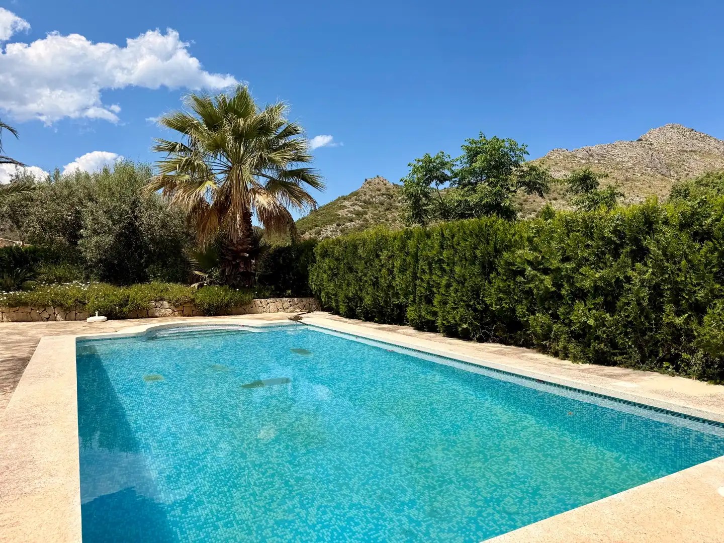 Villa avec piscine à vendre à El Ràfol d'Almúnia, imagen 26