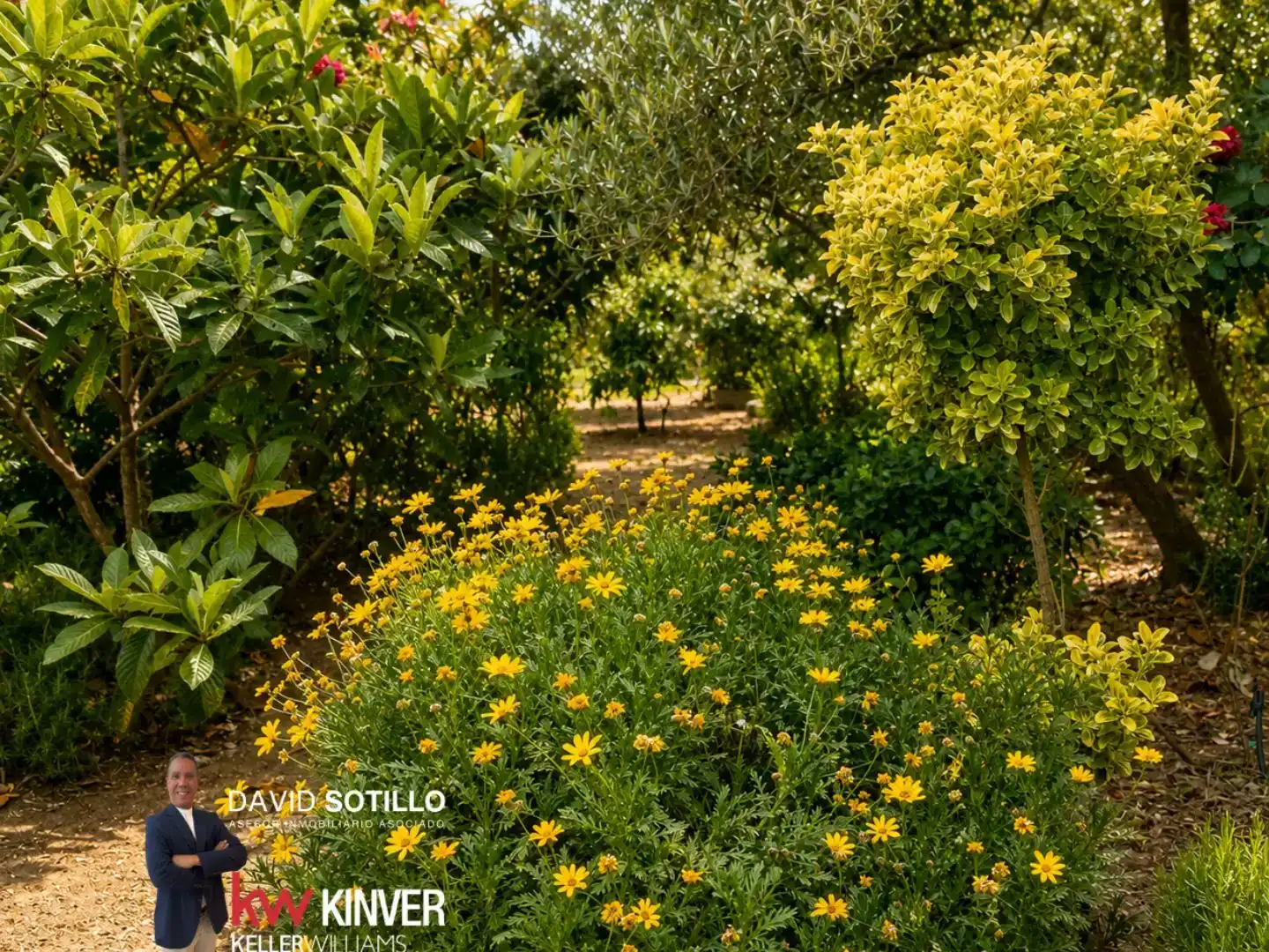 Jardín de Casa o chalet en venta en Bailén con Aire acondicionado, Jardín privado y Trastero