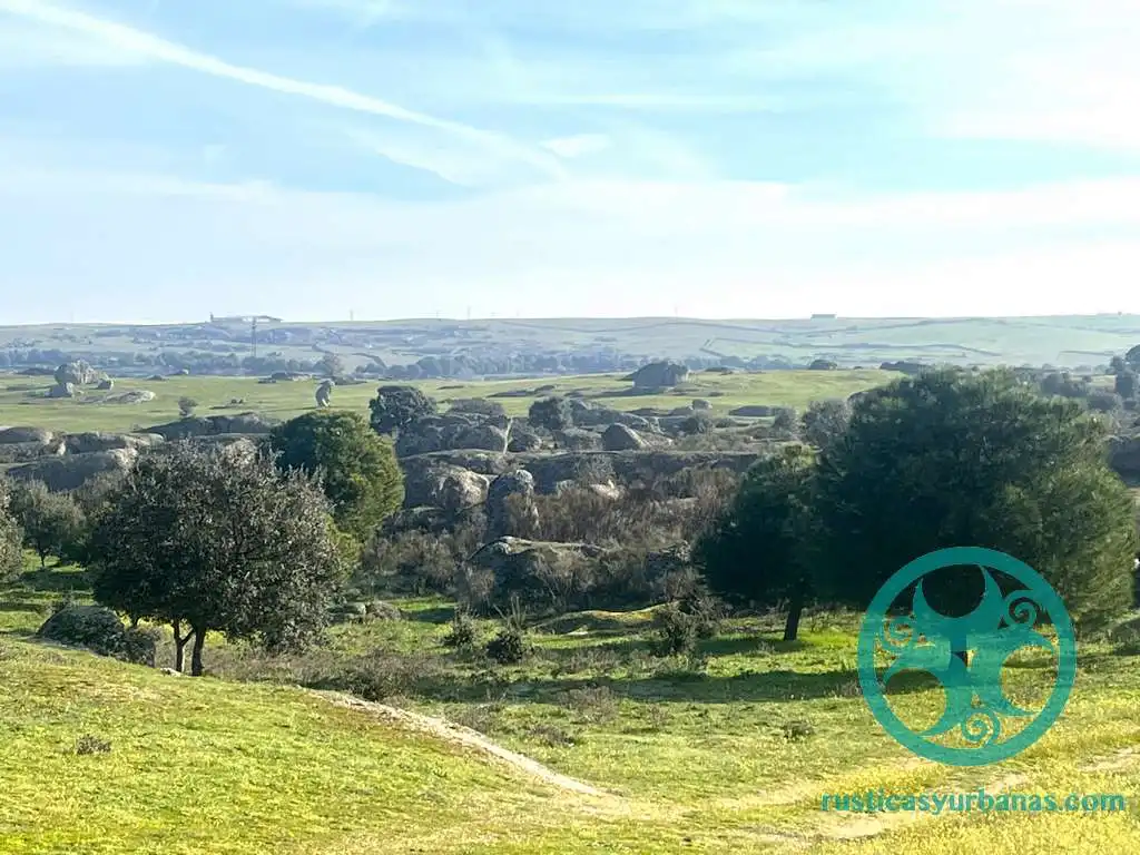 Terreni e lotti in vendita a Casar de Cáceres, imagen 18