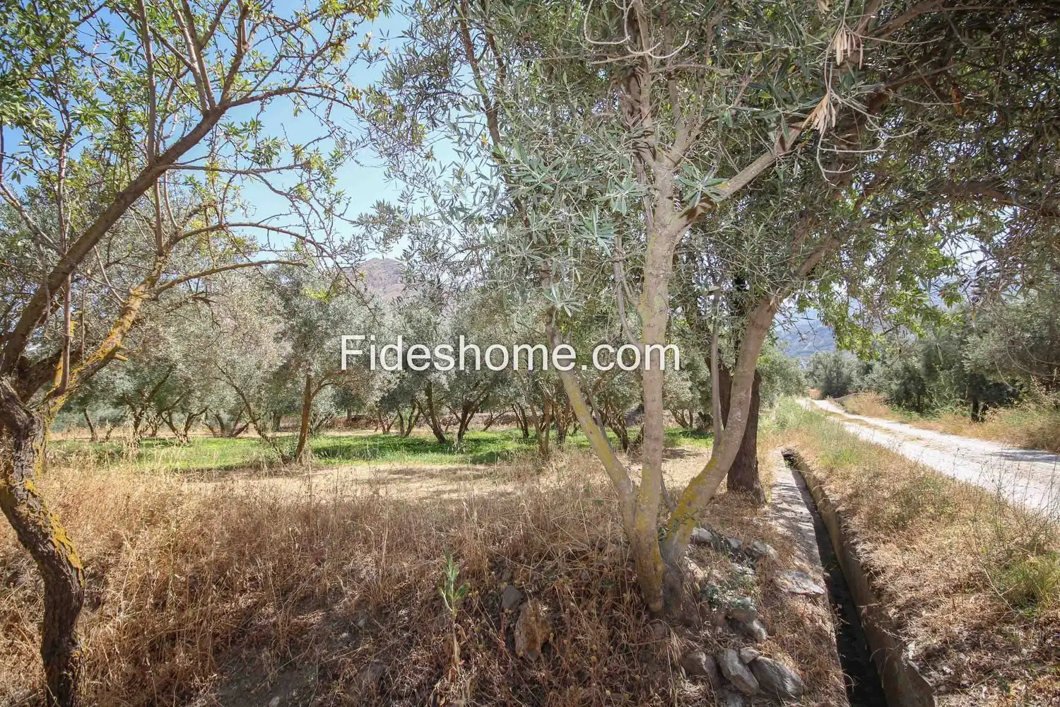 Rural land for sale in XFG2+MG9 Nigüelas 0, imagen 23