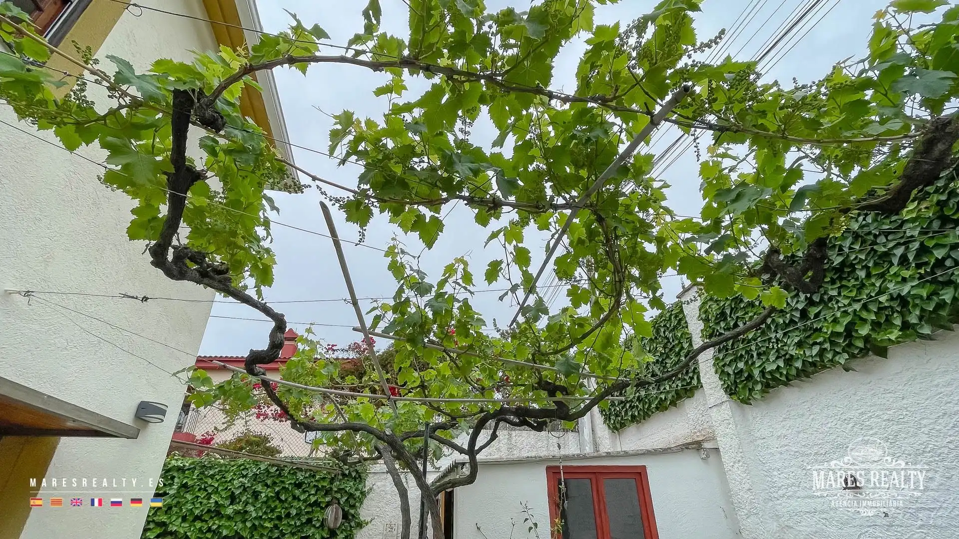 Jardí de Casa o xalet en venda en Lloret de Mar amb Calefacció, Jardí privat i Terrassa