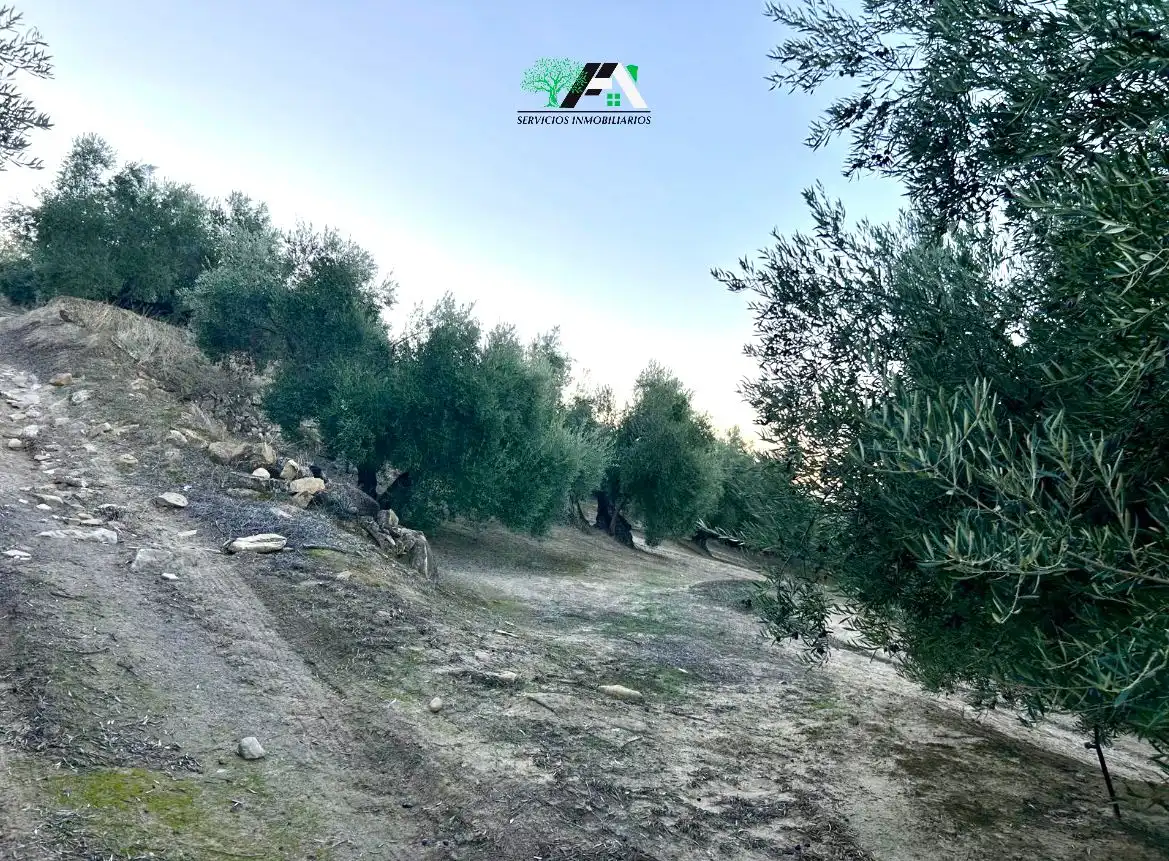 Terreno en venta en Ibros
