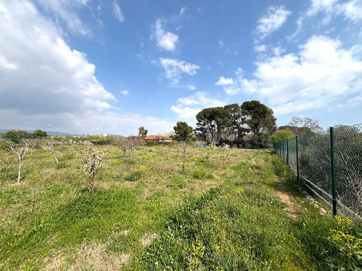 Rural land for sale in Santa Oliva, imagen 9