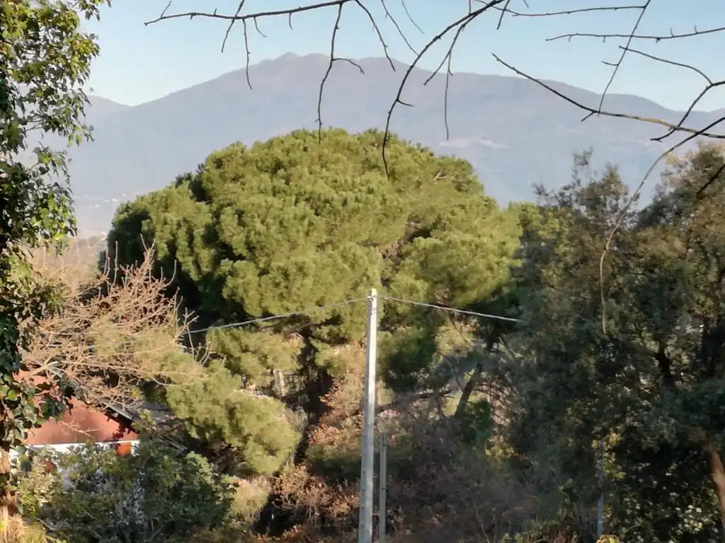 Terreny residencial en venda a Vallgorguina, imagen 6