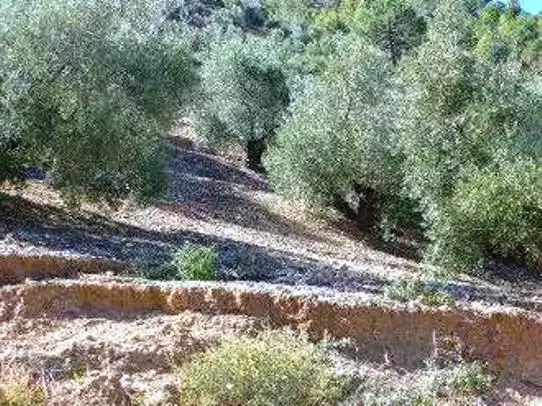 Terreni e lotti in vendita a Villanueva del Arzobispo, imagen 6