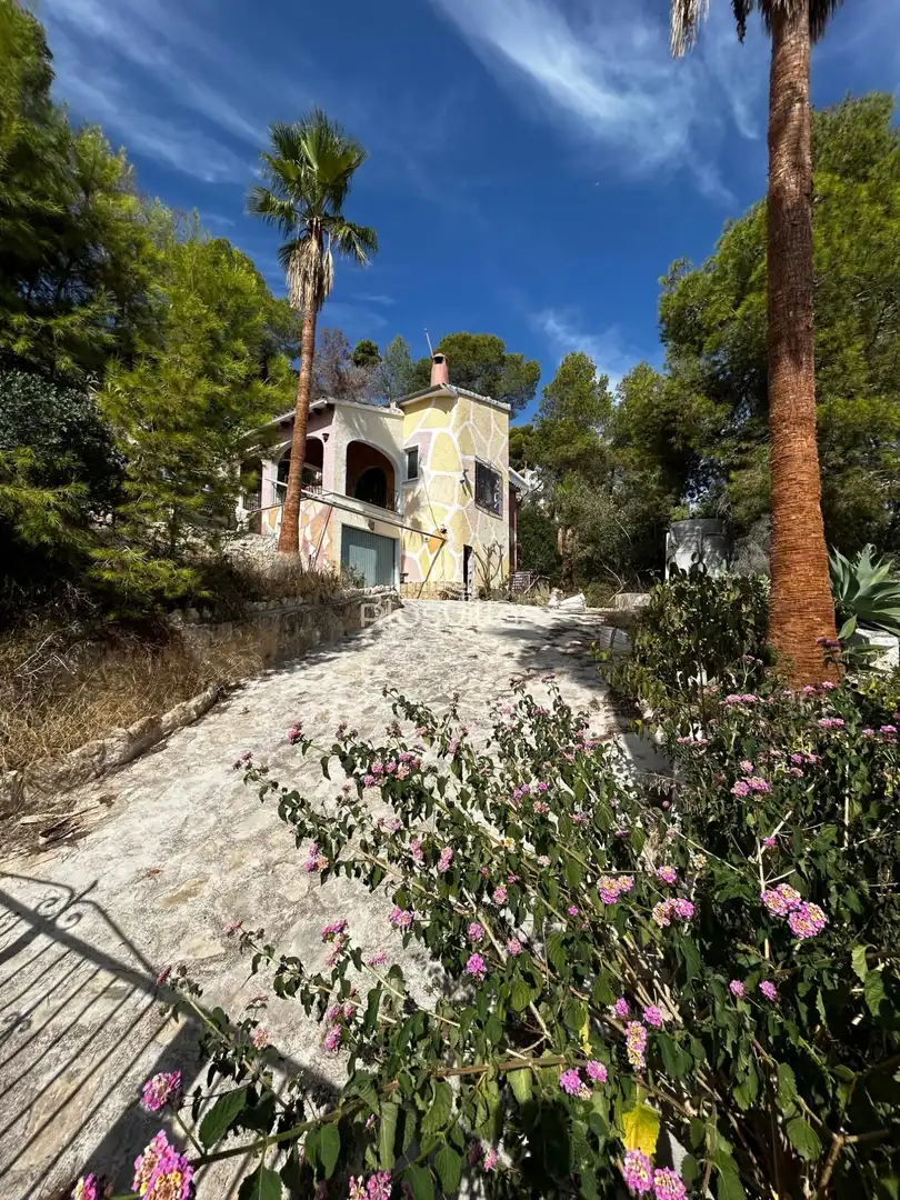 Maison à vendre à La Viña - Montemar - San Jaime, imagen 14