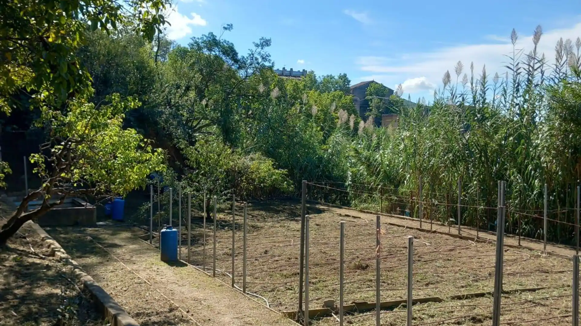 Terreno en venta en Piera