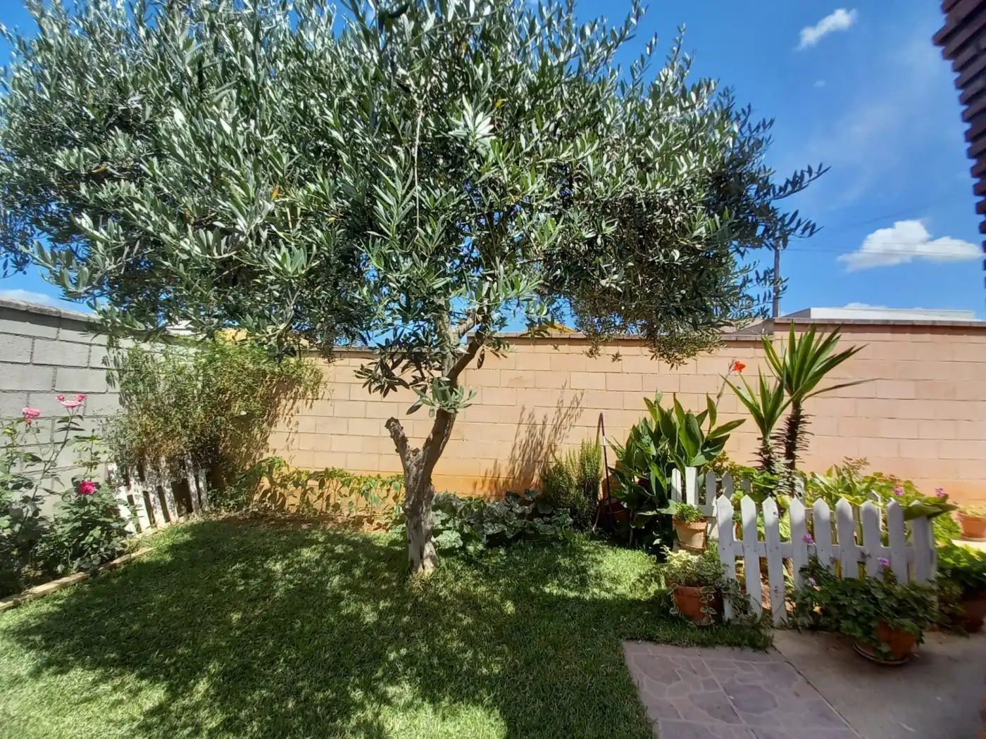 Jardín de Casa o chalet en venta en Córdoba con Aire acondicionado, Jardín privado y Terraza
