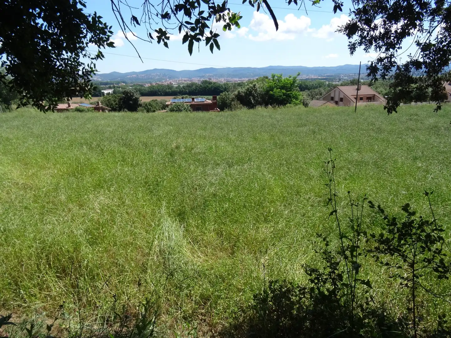 Finca rústica en venta en Bescanó