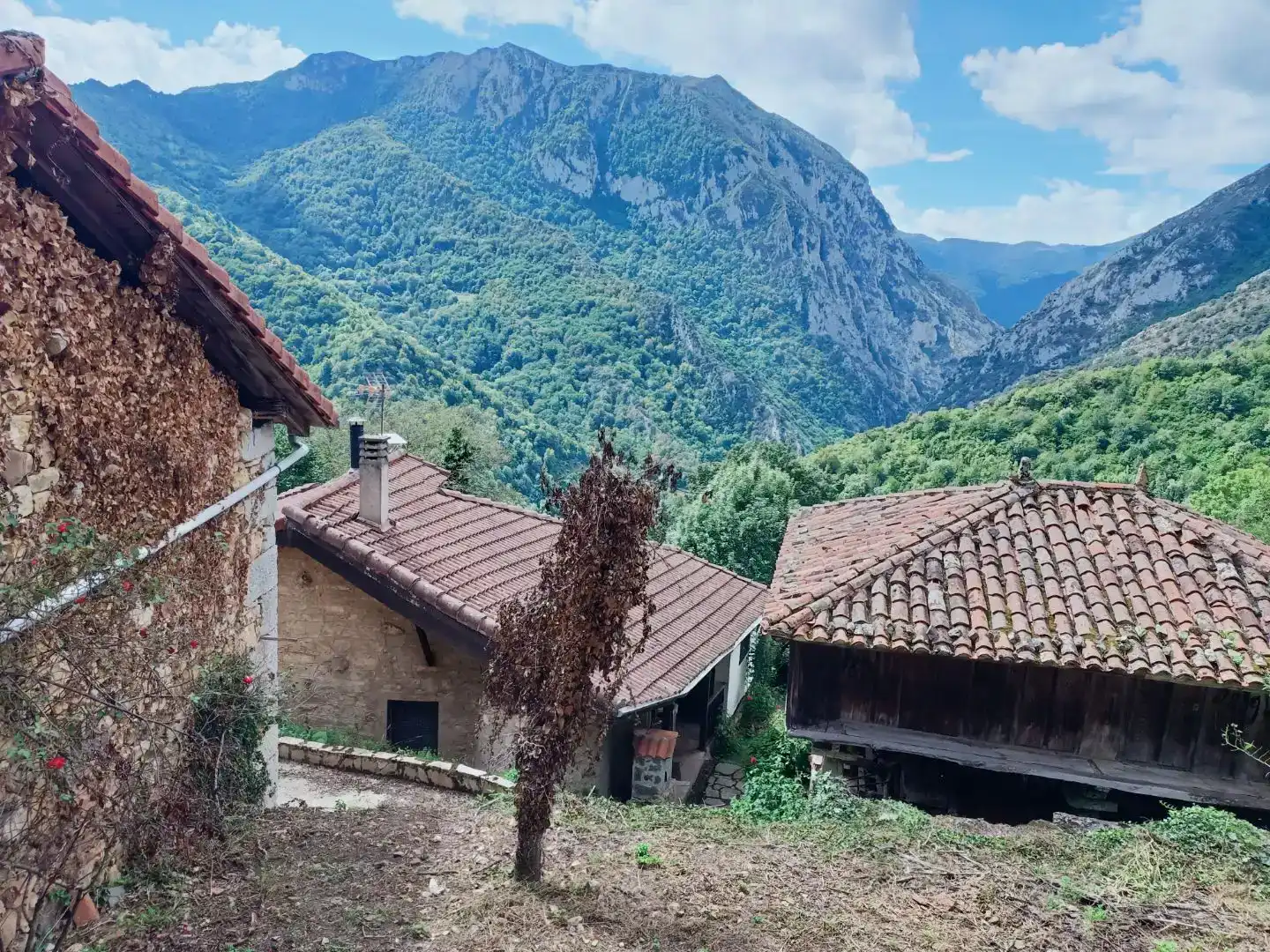 Vista exterior de Pis en venda en Proaza amb Jardí privat