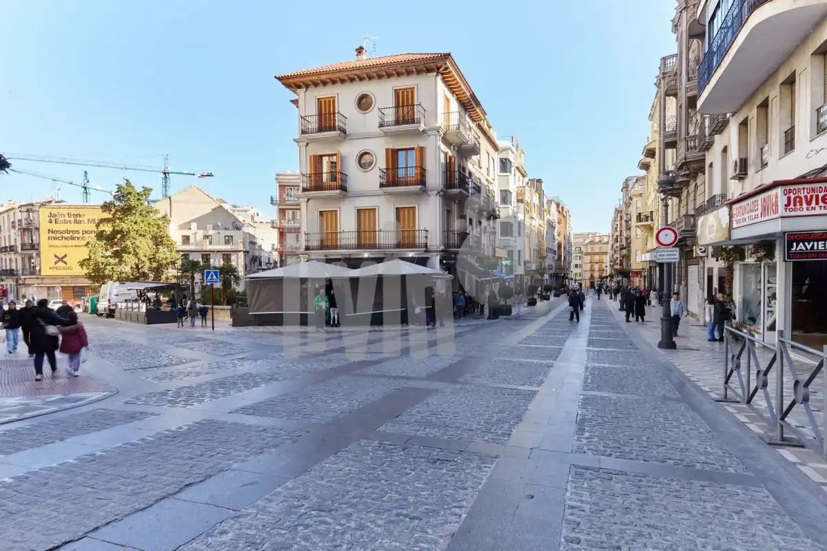 Pis amb ascensor de lloguer a San Ildefonso - Catedral, imagen 28