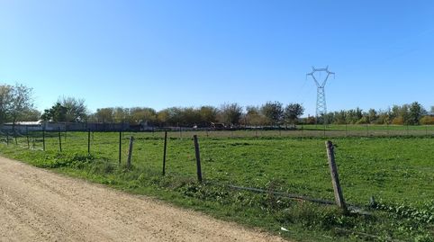 🌿 Parcela Rústica en Venta – El Sainar (Camino de La Encrucijá), La Algaba – Sevilla 🌿, Bild 2