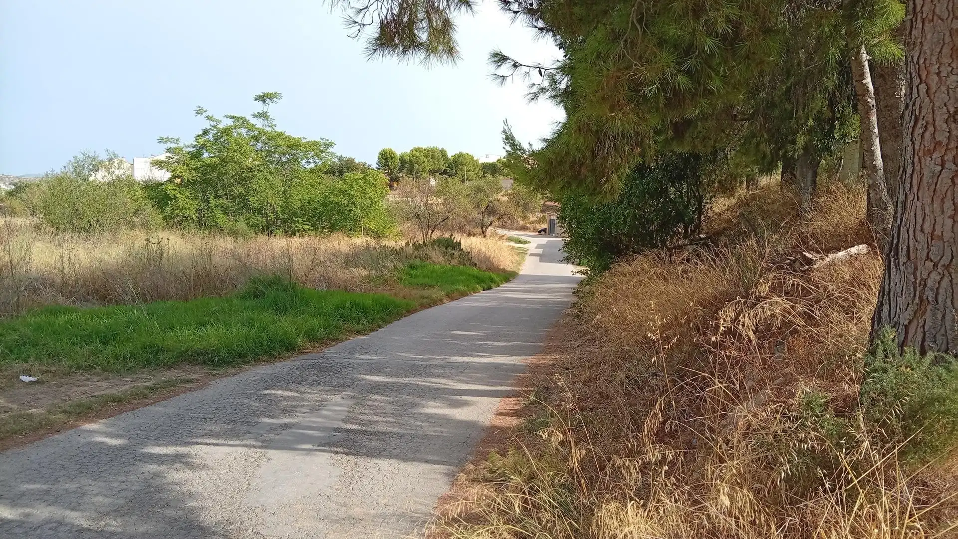 Commercial properties for rent in Chiva