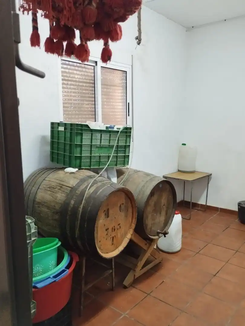 Casa rústica amb terrassa en venda a Camino Polígono 19 Parcela 224 ERMITA. ALBONDON (GRANADA, imagen 73