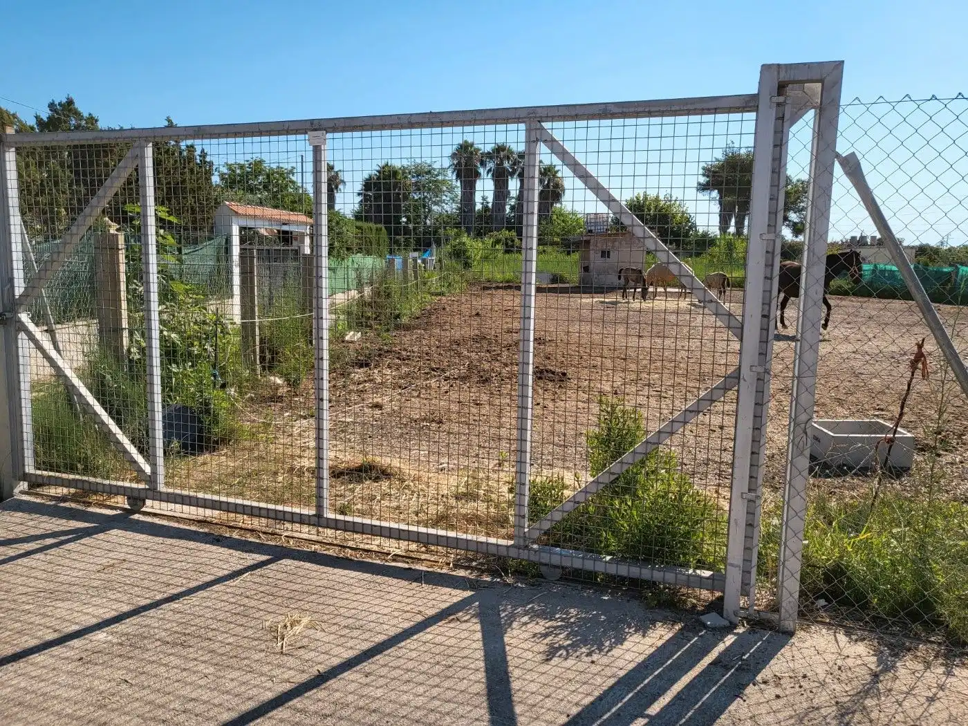Casa o chalet en venta en Bellreguard