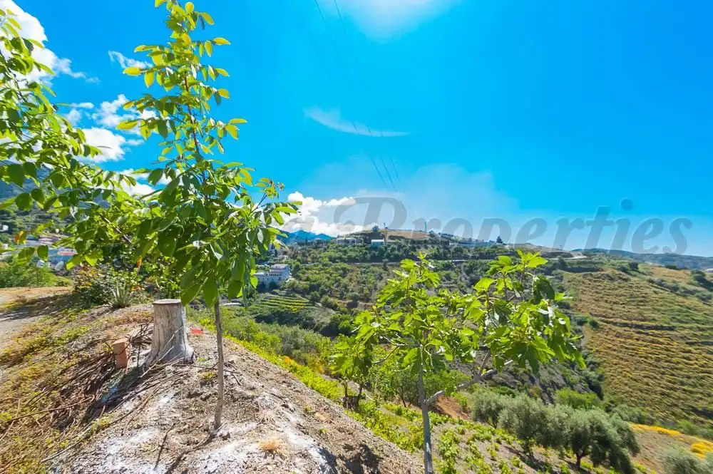 Maison à vendre à Sedella, imagen 3