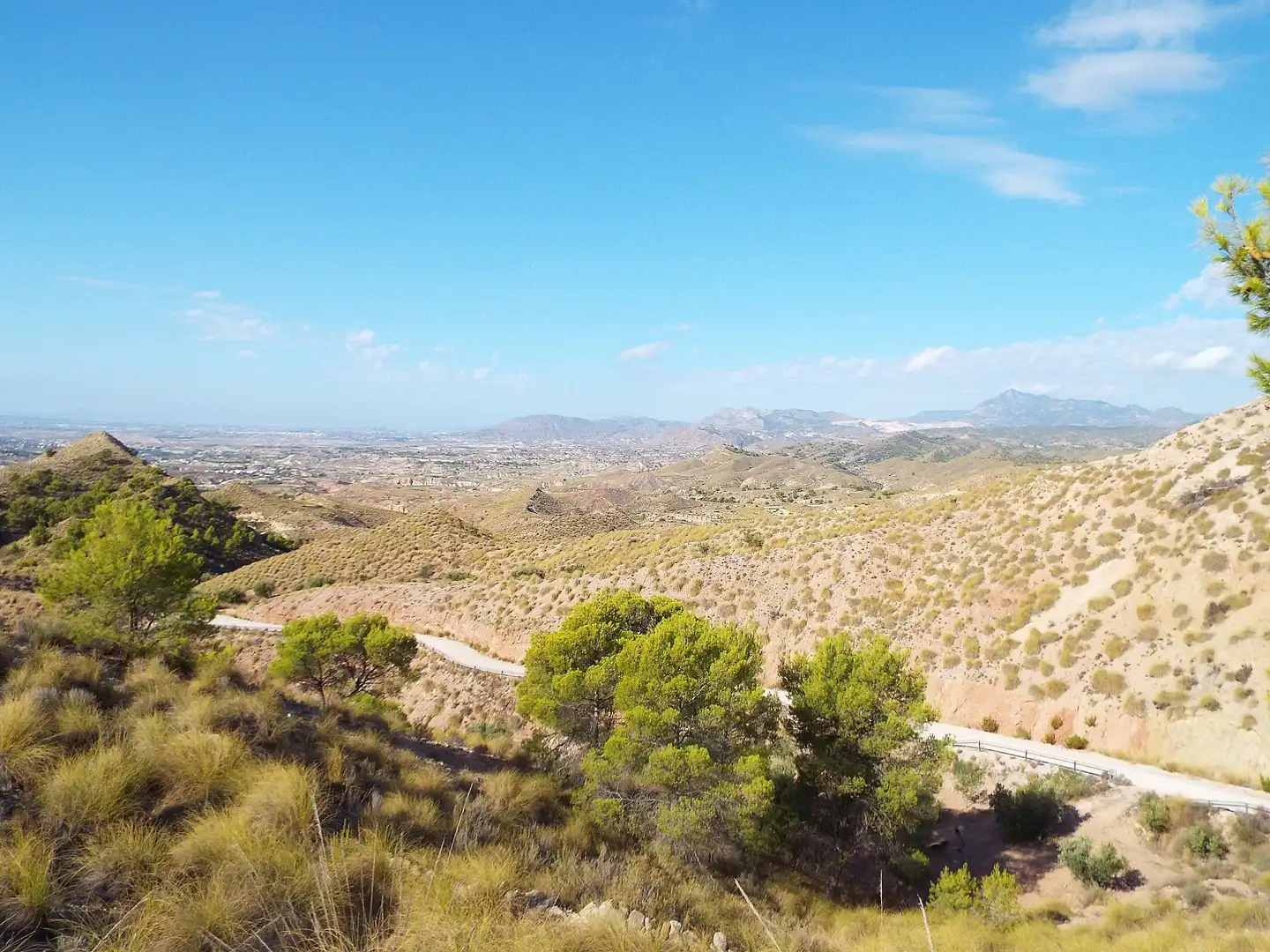 Lands and plots for sale in Abanilla, imagen 2