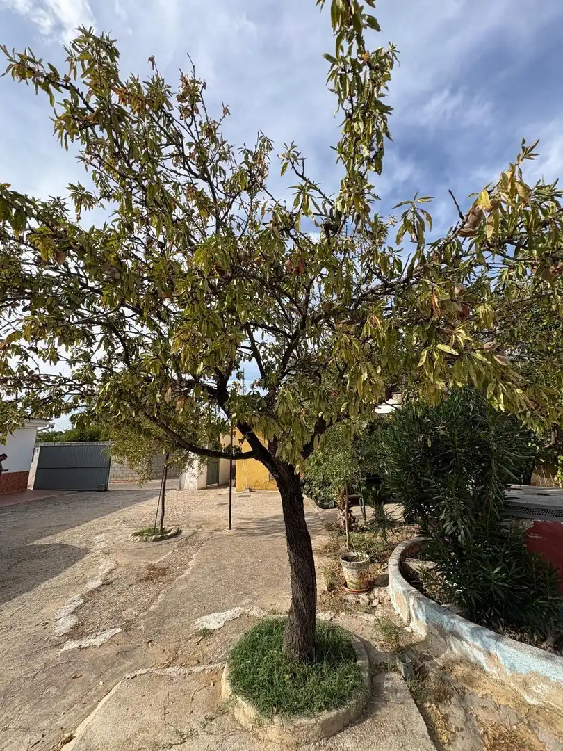 Casa con piscina en venta en Periurbano Este - Campiña, imagen 62