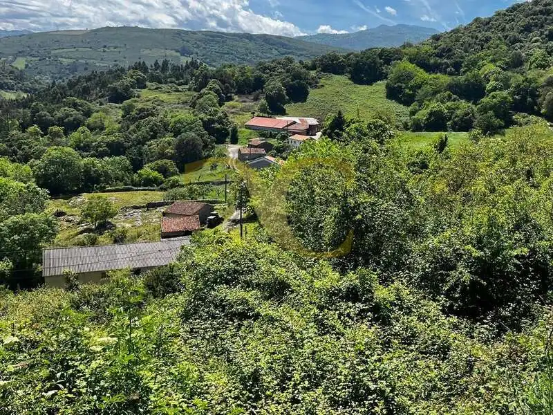 Terreny rústic en venda a Andinas, imagen 15