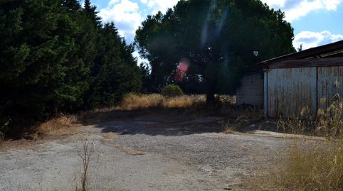 Photo 3 of Industrial buildings for sale in  Carr. del Pago del Humo, 68, Pelagatos - Pago del Humo, Cádiz