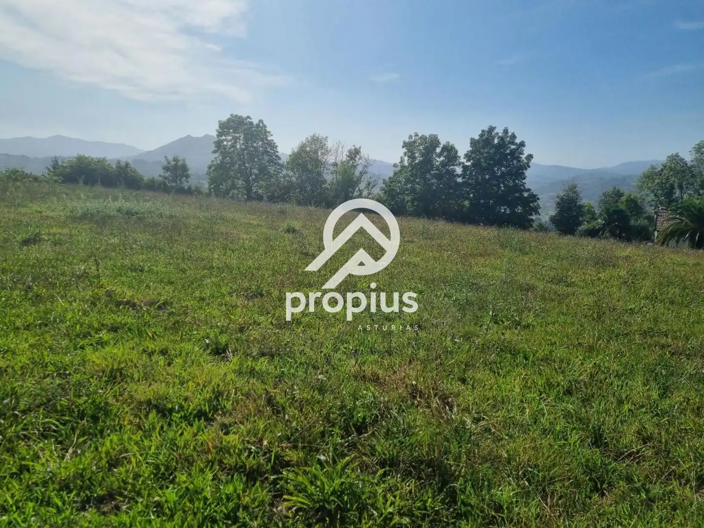 Rural land for sale in Arenas, imagen 19
