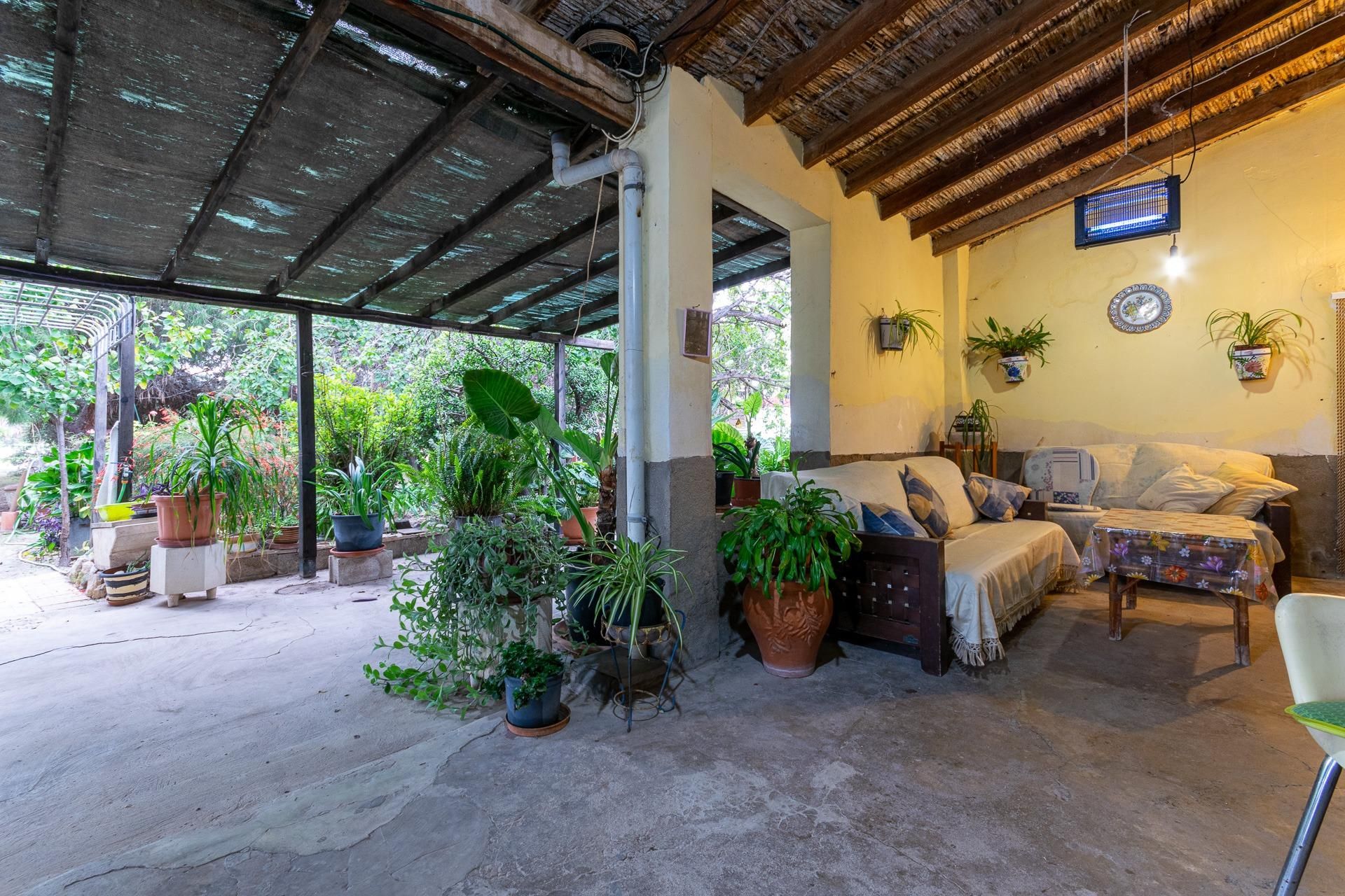 Garden of House or chalet for sale in Elche / Elx