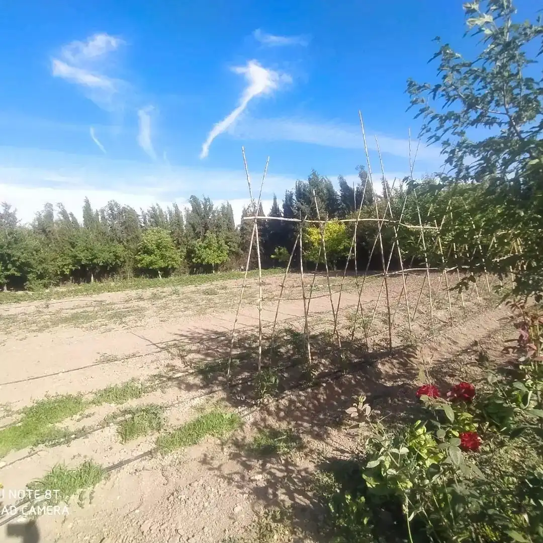 Terreno rustico in vendita a Calle Acera Mío Cid, imagen 5