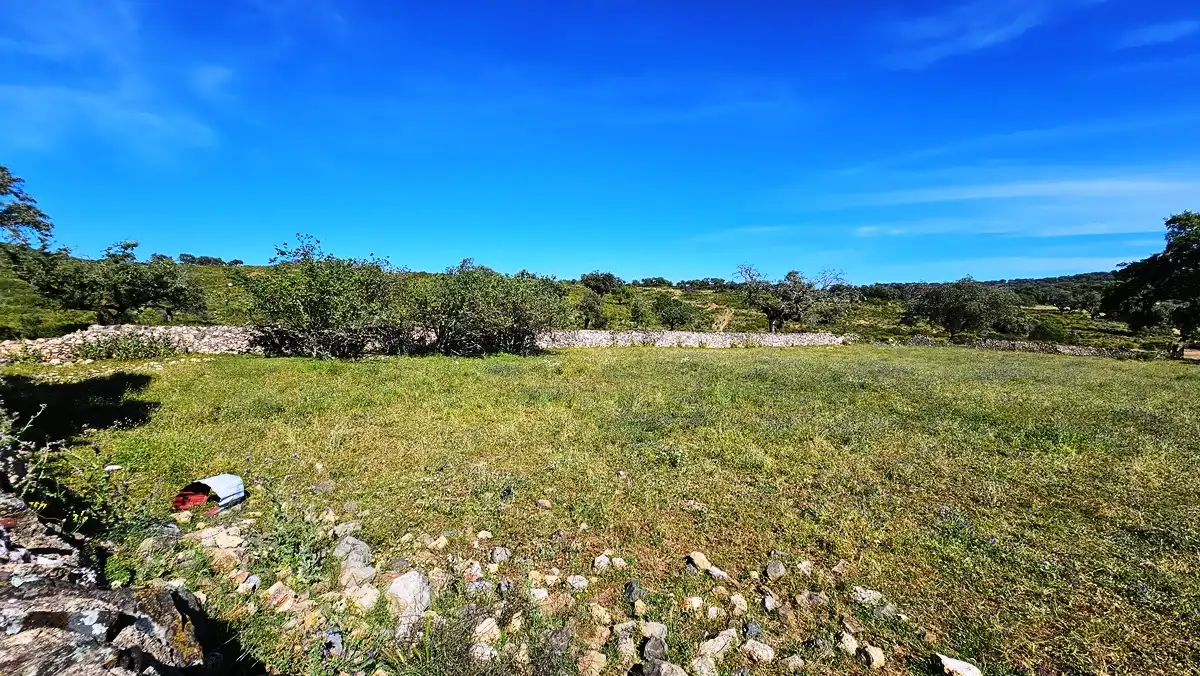 Country homes for sale in Zufre  with Private garden