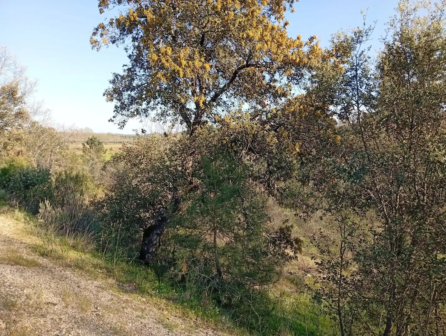 Terreni e lotti in vendita a Villanueva de la Vera, imagen 24