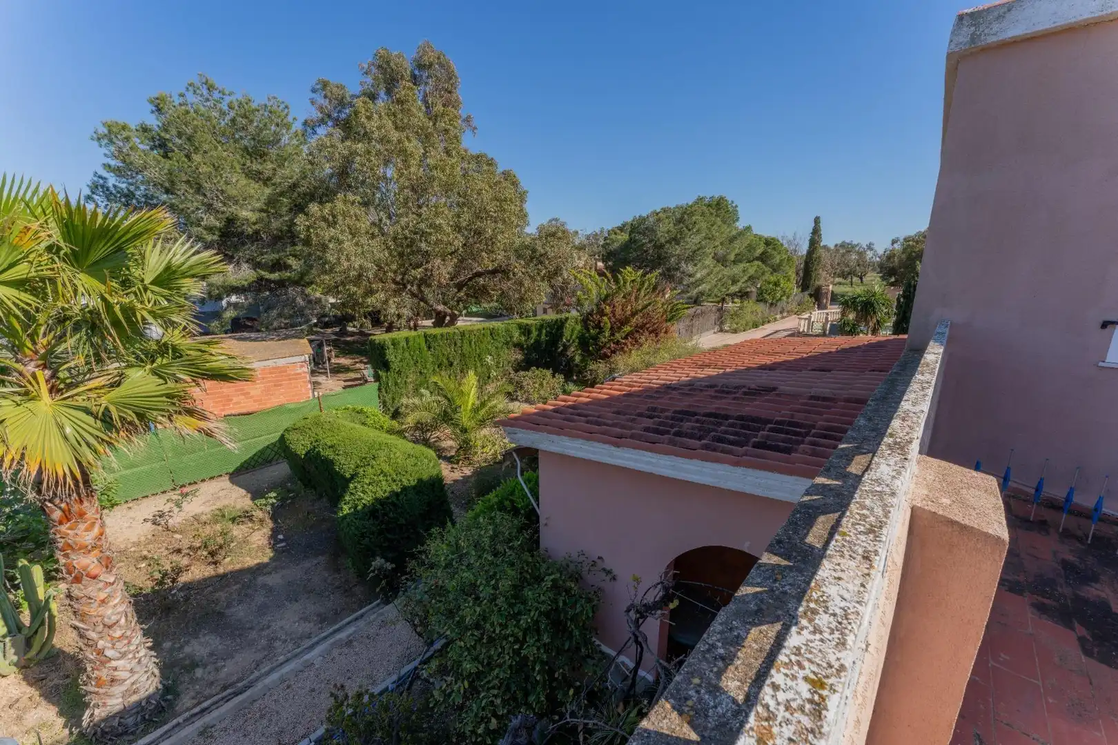 Jardín de Casa o chalet en venta en Elche / Elx con Jardín privado, Terraza y Piscina