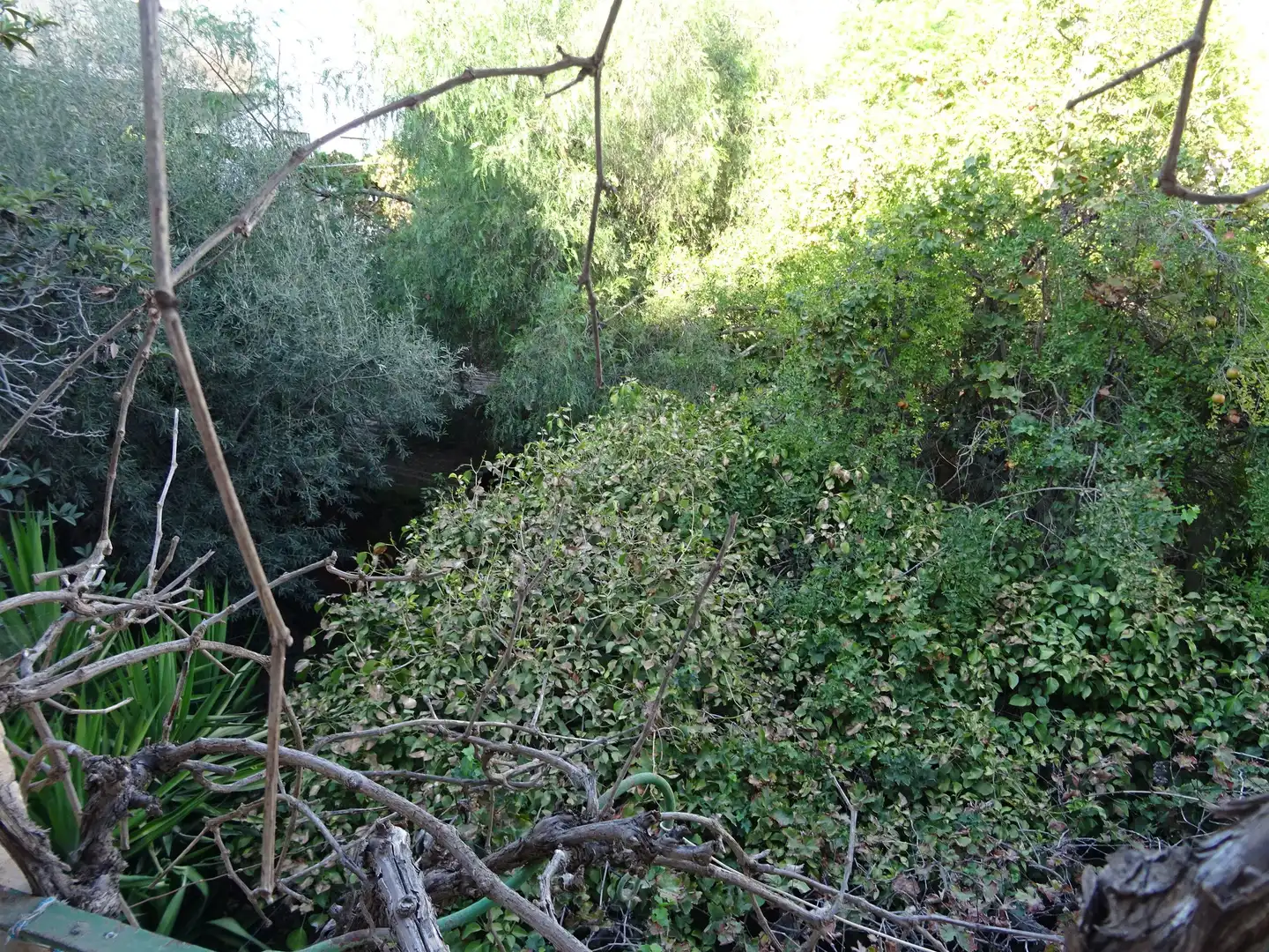 Adossat amb jardí en venda a Avenida Manuel Salmerón 57, imagen 4