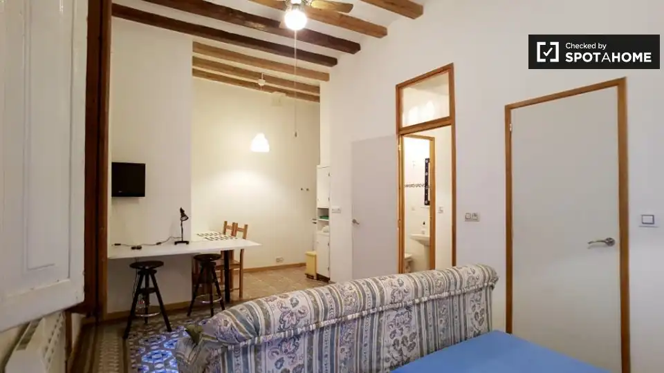 Sala de estar de Estudio para compartir en Barcelona con Aire acondicionado, Calefacción y Terraza