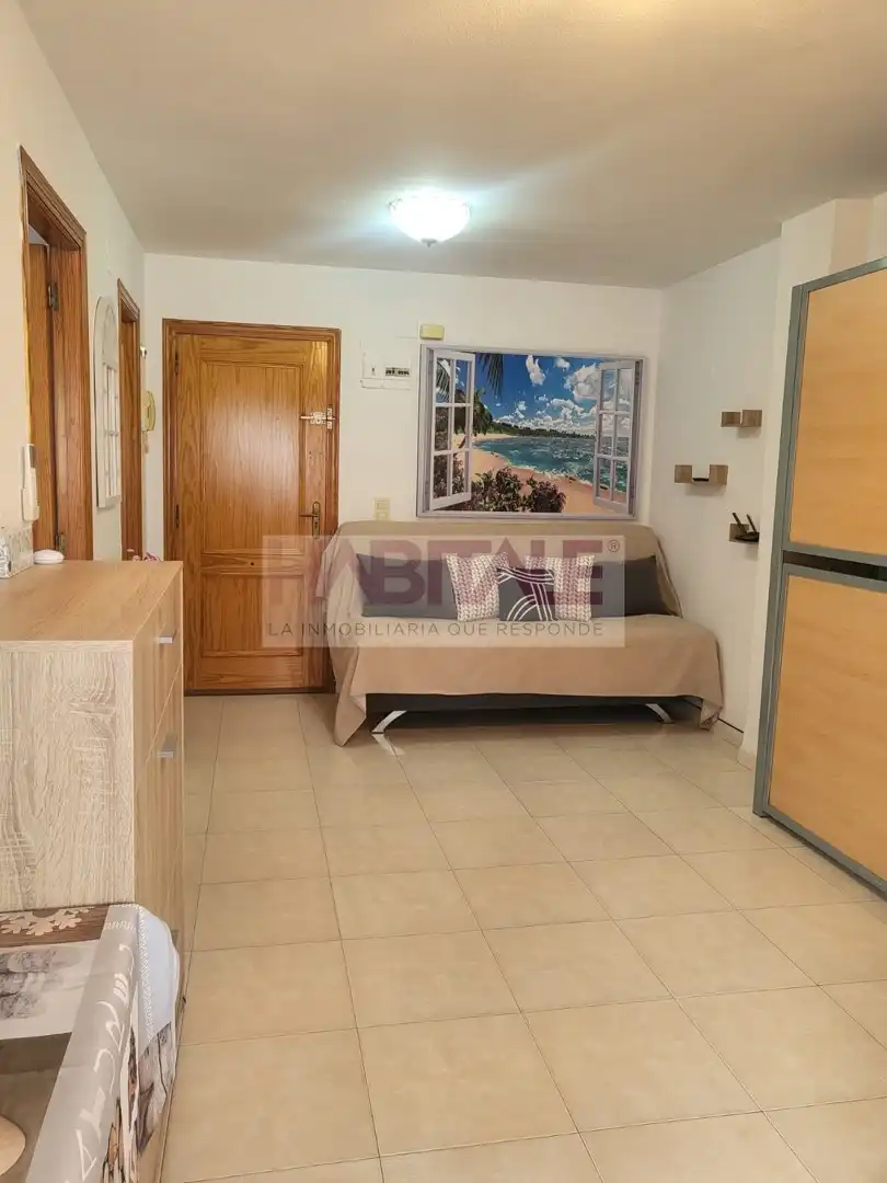 Studio mit Pool zur Miete in Daimús, imagen 12