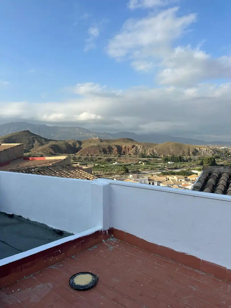 Vista exterior de Finca rústica en venda en Purchena