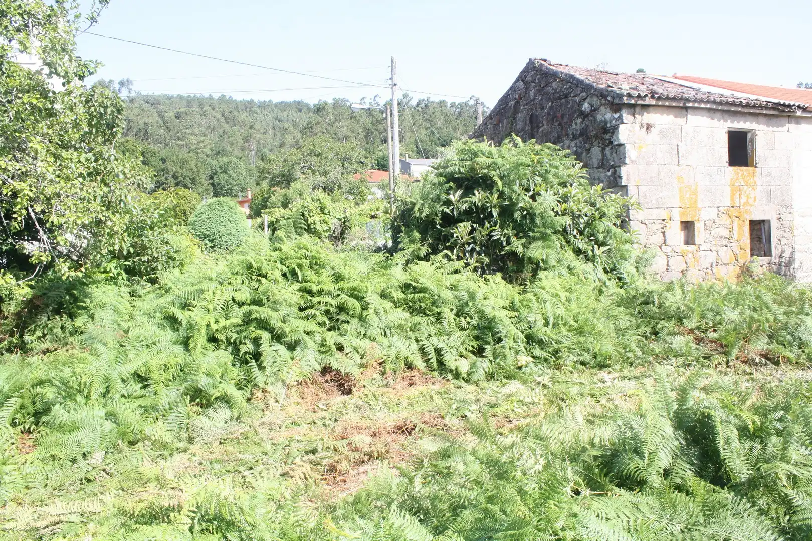 Casa o chalet en venta en Dodro